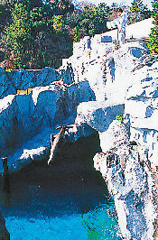 鳥羽水族館の海獣の王国 ここで見られるのは