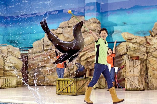 鳥羽水族館のパフォーマンススタジアムはここが魅力