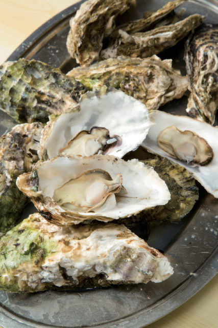 <鳥羽でカキを食べる!>浜英水産