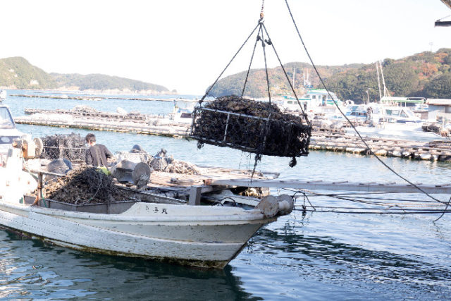 鳥羽のオイスターロードとは