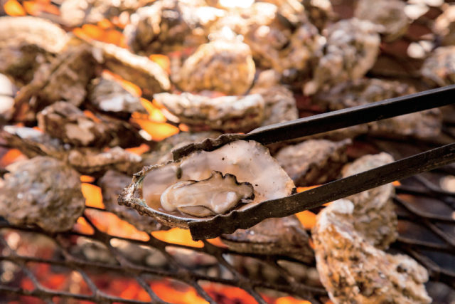<鳥羽でカキを食べる!>浜英水産