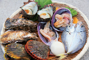 <相差で海女小屋体験>相差かまど海女小屋体験