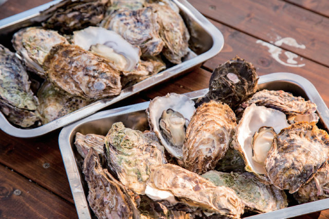 <鳥羽でカキを食べる!>マルナカ水産 マルマ本店