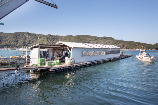 <鳥羽でとばーがーを食べる!>丸善水産