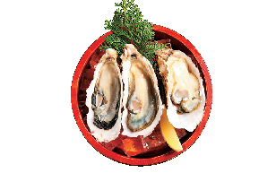 こちらもおすすめ