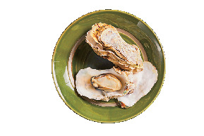 こちらもおすすめ