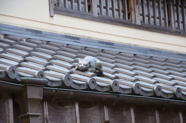 【おかげ横丁のフォトスポット】招き猫フォトスポットをチェックしよう!