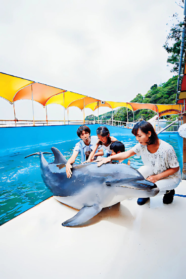 ミキモト真珠島