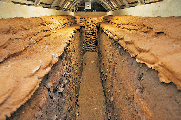 日本最大級!特別史跡三内丸山遺跡で縄文文化を体感しよう