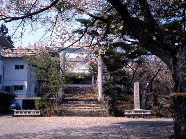 【鳥羽の観光・買物・ランチスポット】桜が咲き誇る見晴らしの良い名所「樋の山」