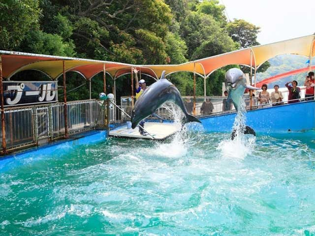 こちらも注目!立ち寄りスポット イルカ島