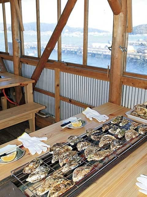 【オイスターロード×ドライブ】海上焼きガキを楽しもう「丸善水産」
