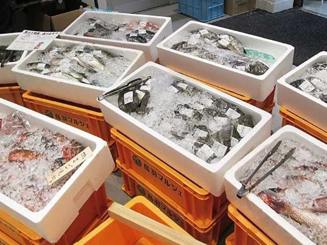 鳥羽マルシェの基本情報