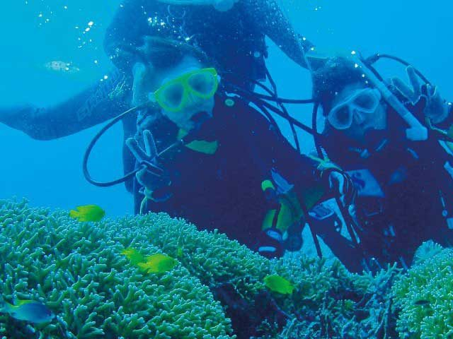 体験ダイビング