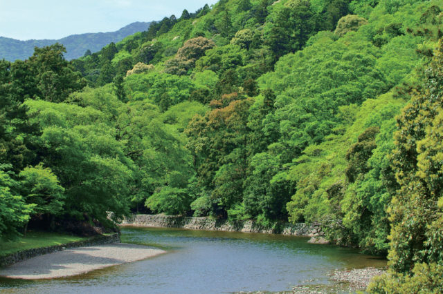 【三重・伊勢神宮内宮】宮域林