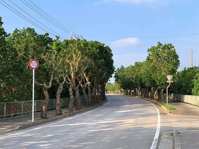 石垣島ドライブのポイント