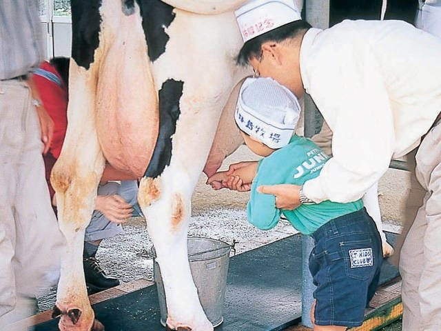 【淡路島 子供と遊べるレジャースポット】淡路島牧場