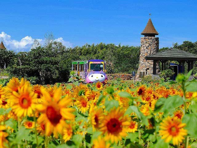 淡路ファームパークイングランドの丘