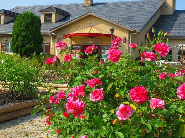 職人こだわりの自家製パンやソーセージ「淡路ファームパークイングランドの丘 ファーマーズキッチン」