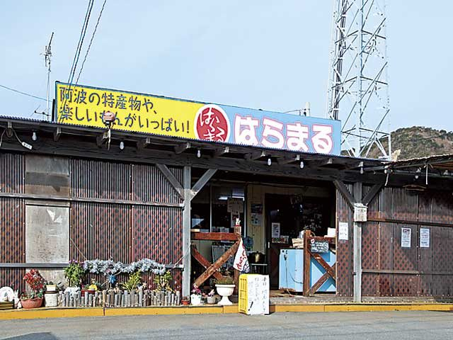 【鳴門グルメ×大毛島名物のカキ】新鮮な殻付きカキをその場で楽しむ「はらまる」