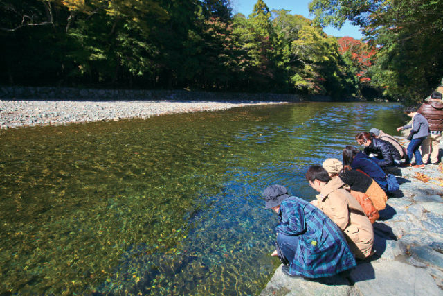 伊勢神宮内宮参拝ルート④ 御手洗場(みたらし)