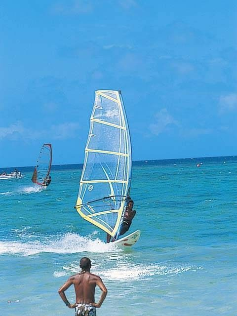 島遊びのススメ