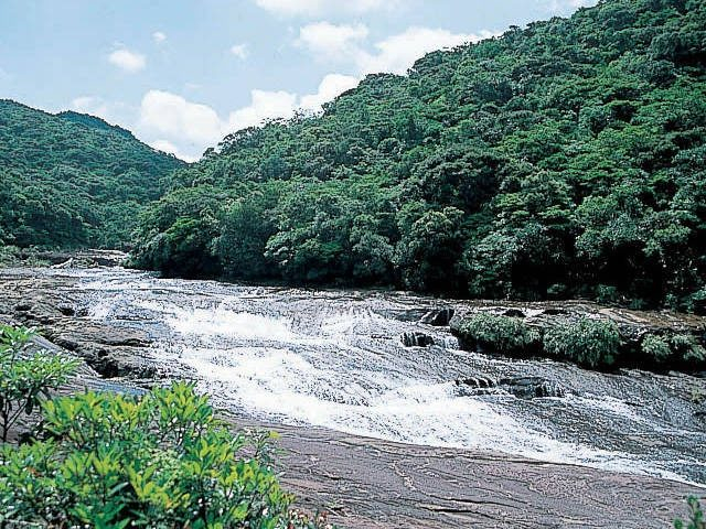 【浦内川×マングローブ遊覧】ハイライト! カンビレーの滝