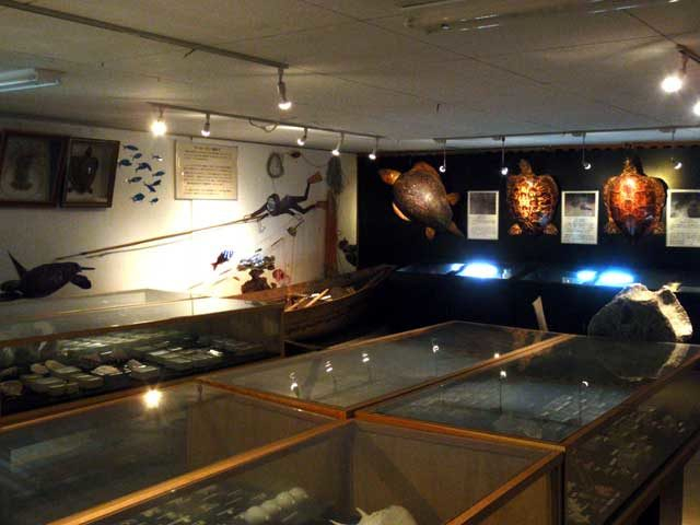 【黒島の観光スポット】黒島研究所