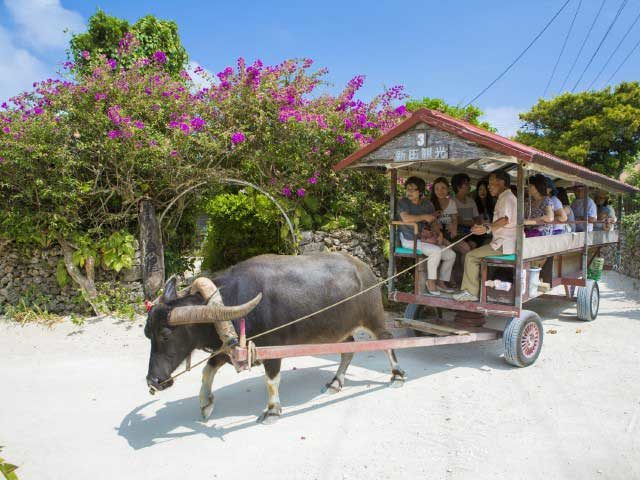 竹富島の遊び方