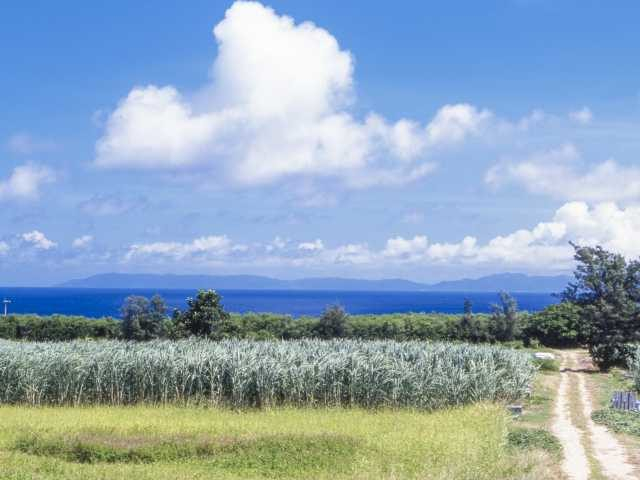 波照間島の遊び方