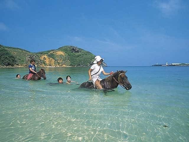 【与那国島の観光スポット】ヨナグニウマふれあい広場