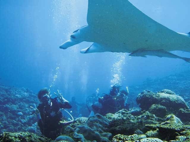 眺めるだけでは物足りない。さまざまな海遊びにチャレンジ