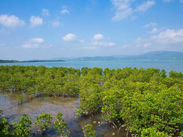 【小浜島観光】石長田海岸