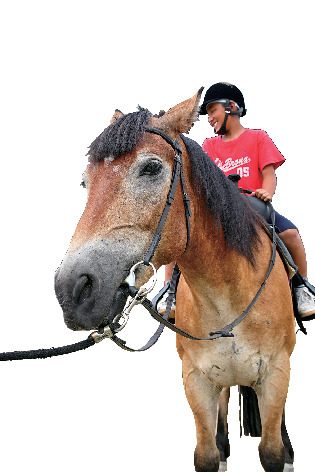 【淡路島 子供と遊べるレジャースポット】乗馬クラブ ハーモニーファーム淡路