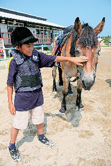 【淡路島 子供と遊べるレジャースポット】乗馬クラブ ハーモニーファーム淡路