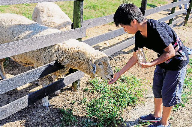 【淡路島 子供と遊べるレジャースポット】淡路カントリーガーデン