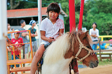 【淡路島 子供と遊べるレジャースポット】淡路島牧場