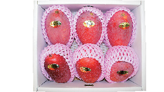 宮古島マンゴーを買うなら♪