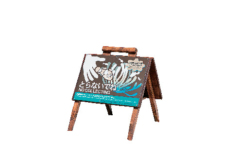 サンゴや熱帯魚に触らない