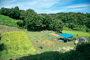 【淡路島 子供と遊べるレジャースポット】淡路島マンモス