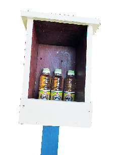 ハブクラゲに注意