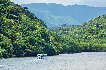 【浦内川×マングローブ遊覧】遊覧DATA 浦内川ジャングルクルーズ