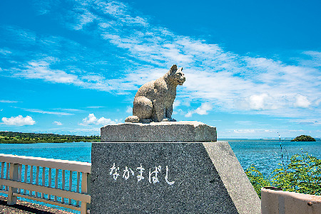 【仲間川×マングローブ遊覧】①仲間橋