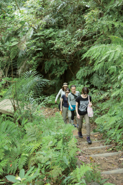 【浦内川×マングローブ遊覧】②軍艦岩