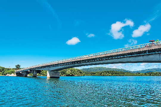 【仲間川×マングローブ遊覧】①仲間橋