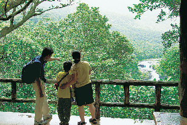 【浦内川×マングローブ遊覧】③マリユドゥ展望台