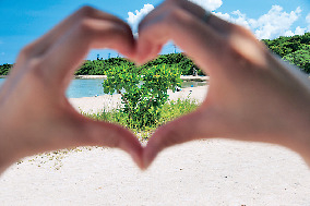 【竹富島のサイクリングスポット】コンドイ浜
