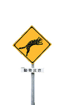 西表島の遊び方