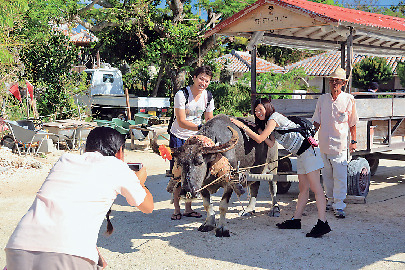 感謝をこめて水牛と記念写真