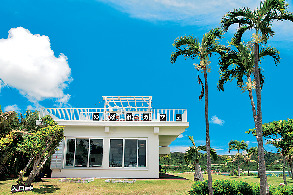 パイナップル畑と美しい海に癒される「のばれ岬観光農園」